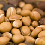 ¿Qué son los productos Orgánicos para el Cuidado de la Piel?