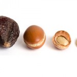 ¿Puede el Aceite de Argán Detener el Envejecimiento?